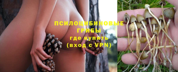Альфа ПВП Магас