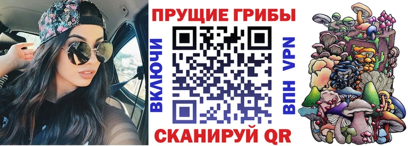Галлюциногенные грибы ЛСД  Зверево 